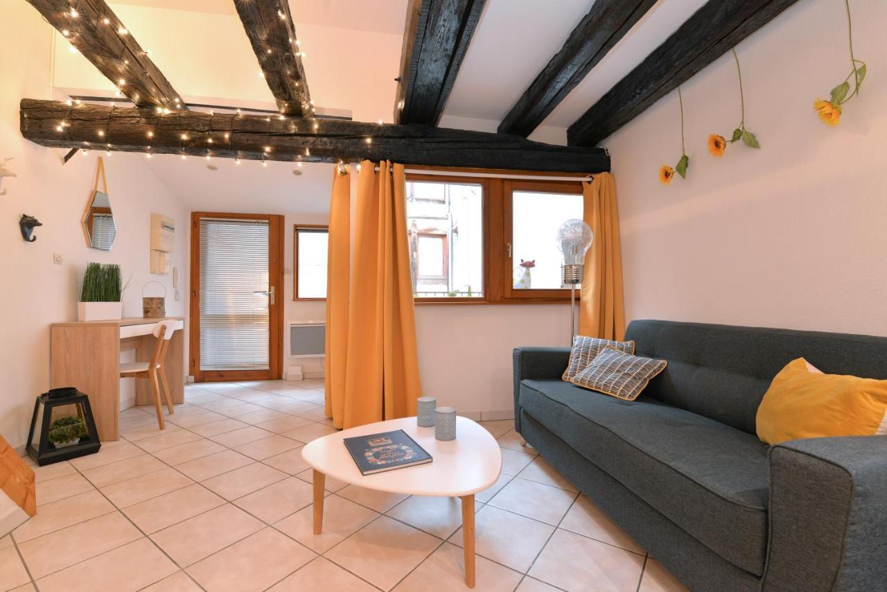 Appartement La Terrasse Sur Cour Colmar Eksteriør bilde