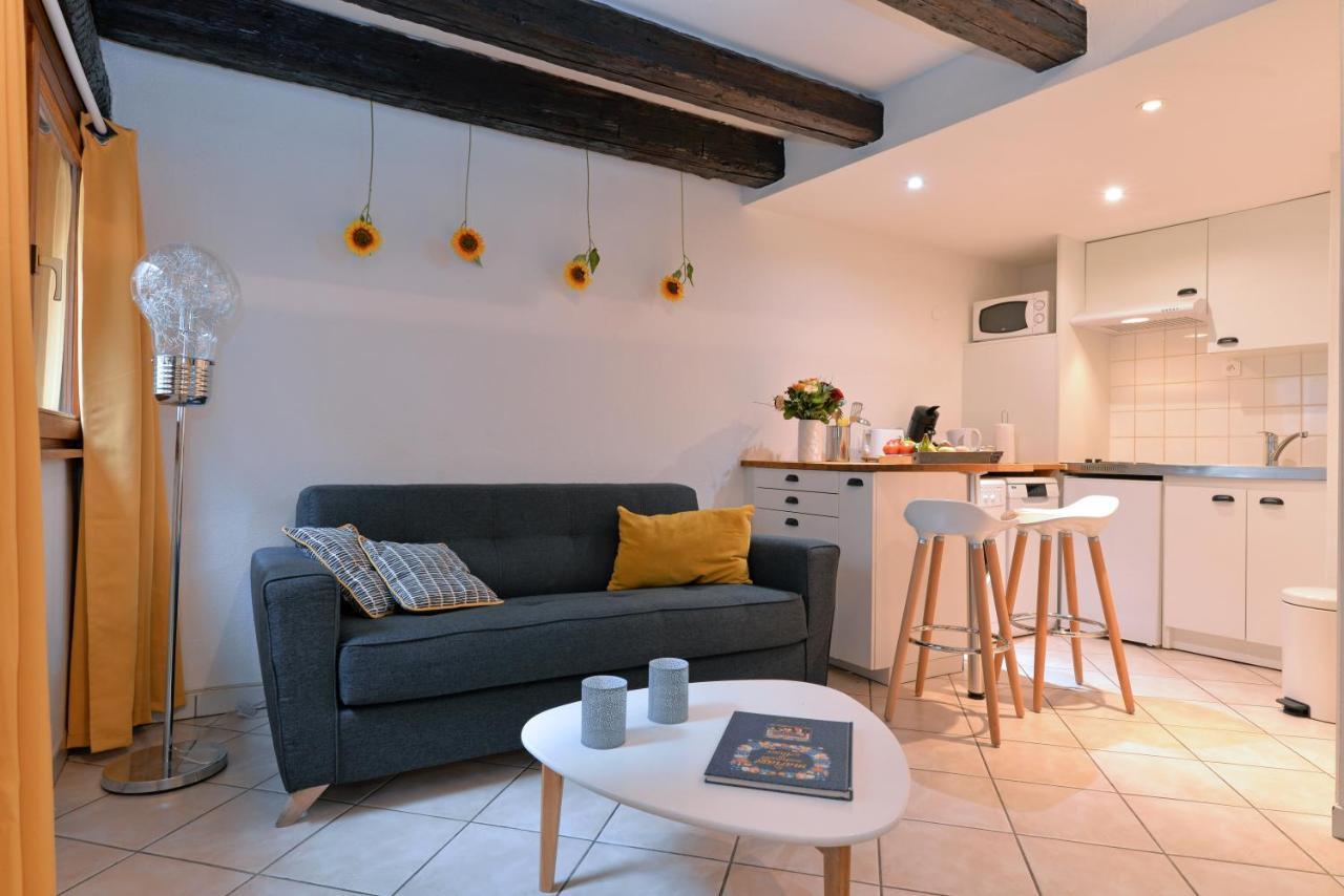 Appartement La Terrasse Sur Cour Colmar Eksteriør bilde